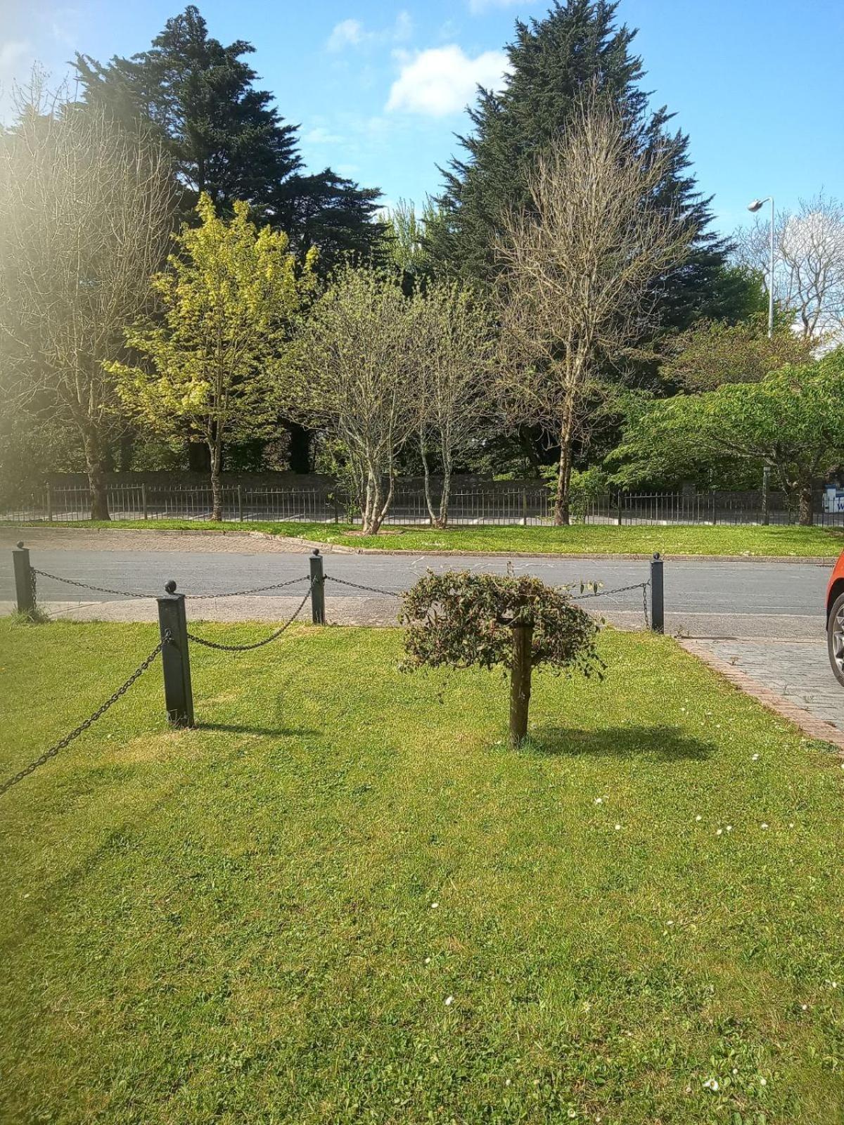 El Roi Guest Accommodation Waterford Dış mekan fotoğraf